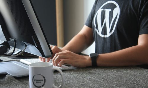 wordpress seo services